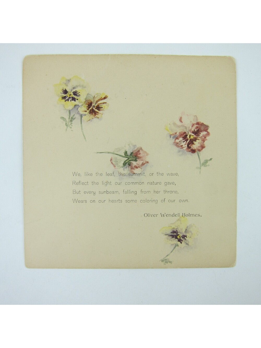 Antique Card Pansies Yellow Purple Pink Pansy Flowers Poem Oliver Wendell Holmes